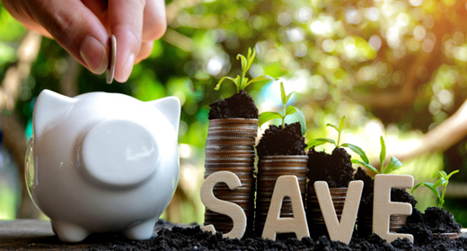 Conviértete en un consumidor responsable y cuida el medio ambiente